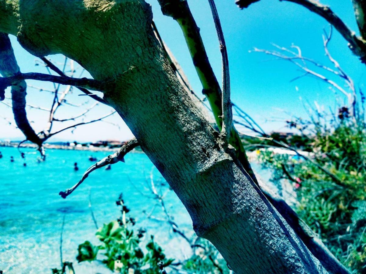 Le Stanze Del Mare Aparthotel Golfo Aranci Luaran gambar