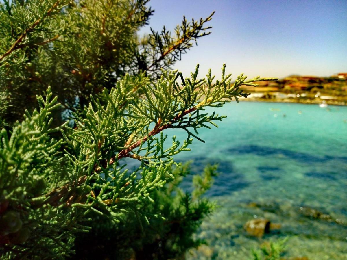 Le Stanze Del Mare Aparthotel Golfo Aranci Luaran gambar